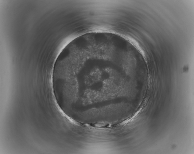 X0000096130863200801251015