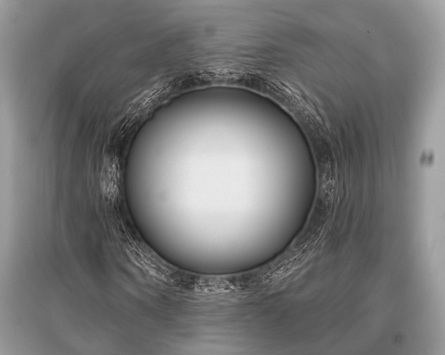 X0000096130866200801251014