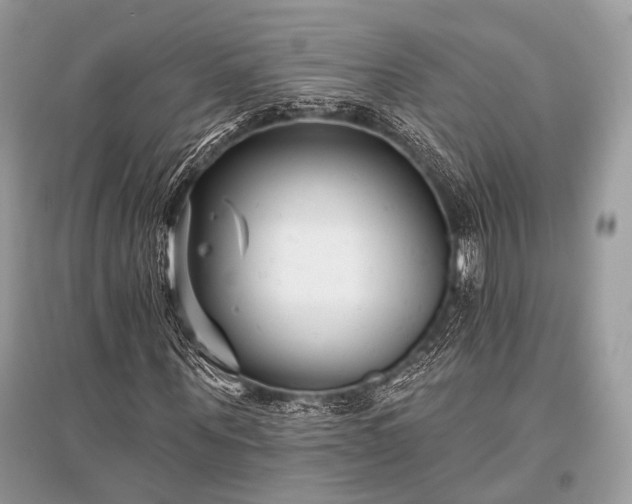 X0000096130867200801251014