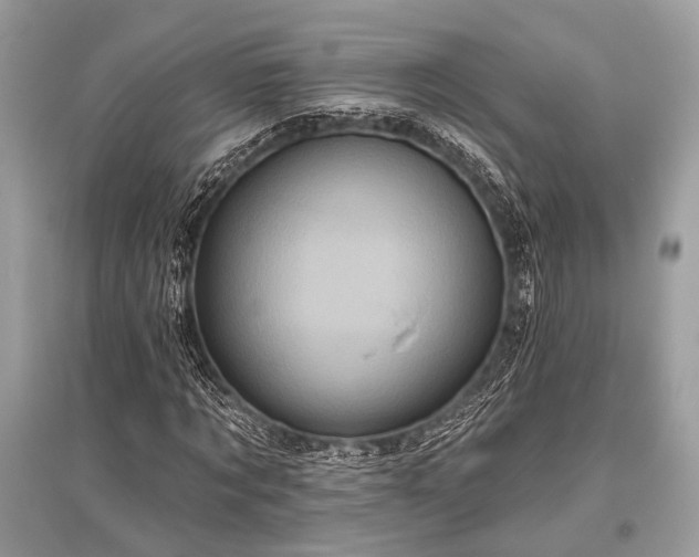 X0000096130869200801251014