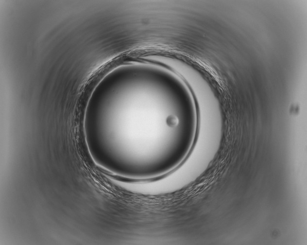 X0000096130872200801251014