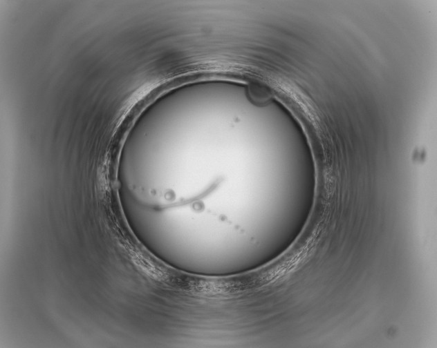 X0000096130875200801251014