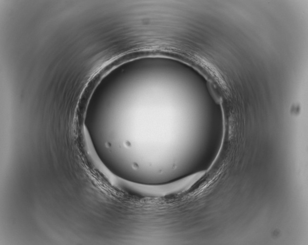 X0000096130876200801251014