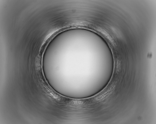 X0000096130878200801251014