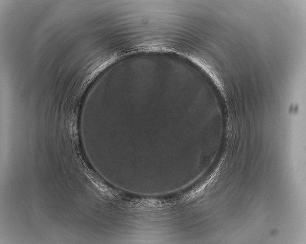 X0000096130881200801251014