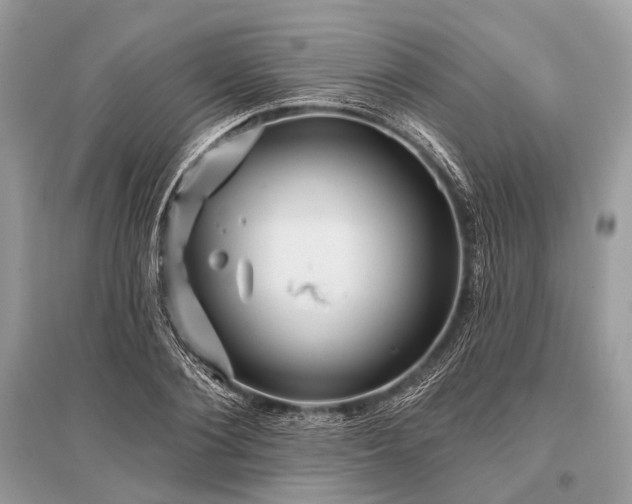 X0000096130884200801251014