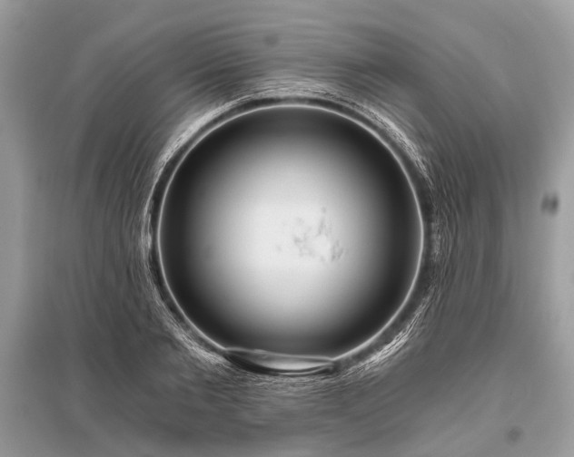 X0000096130885200801251014