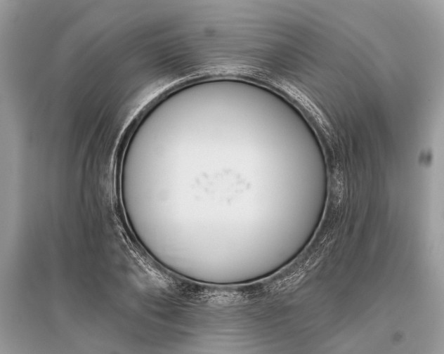 X0000096130886200801251014