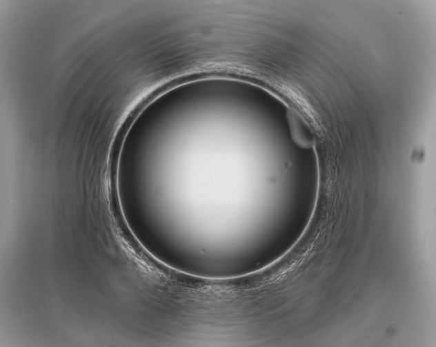X0000096130888200801251014