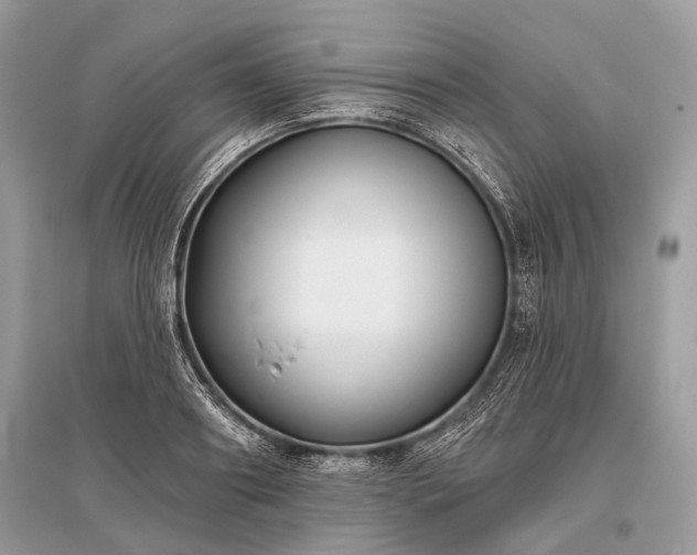 X0000096130890200801251014