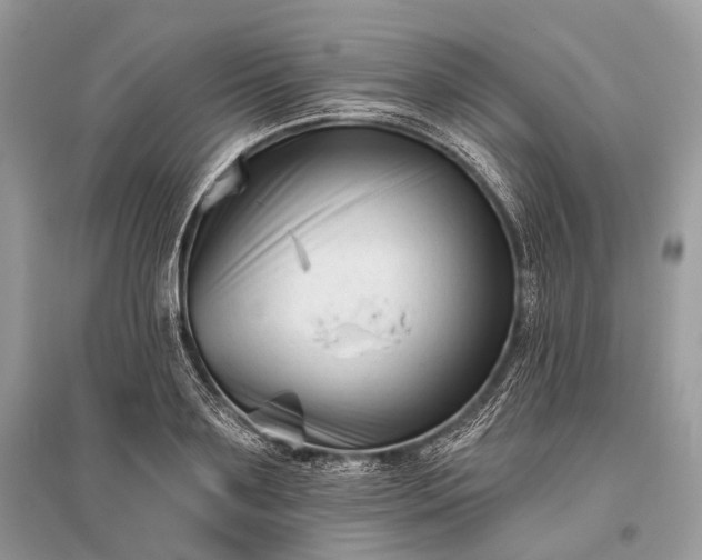 X0000096130891200801251014