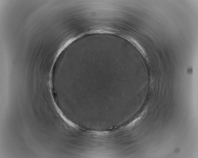 X0000096130893200801251014