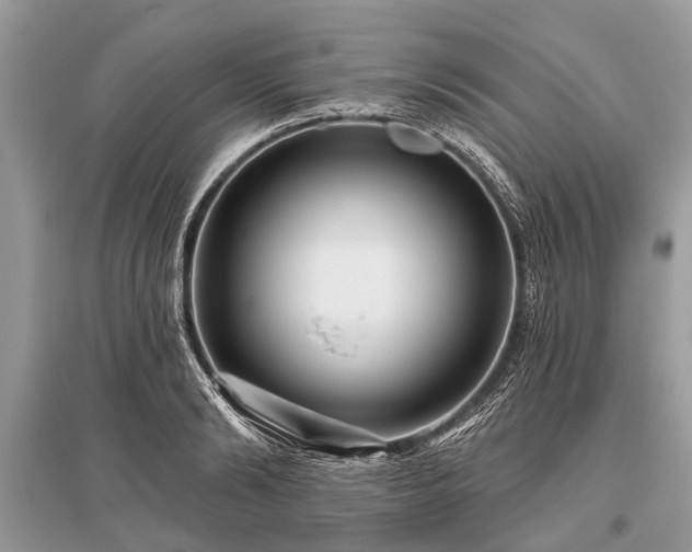 X0000096130894200801251014