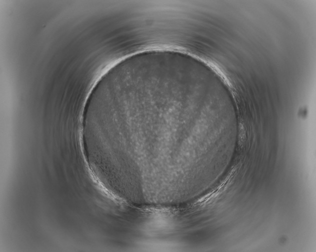 X0000096130895200801251014