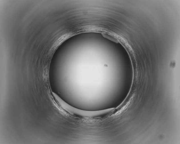 X0000096130897200801251014