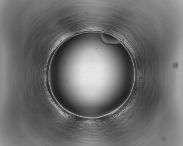 X0000096130898200801251014