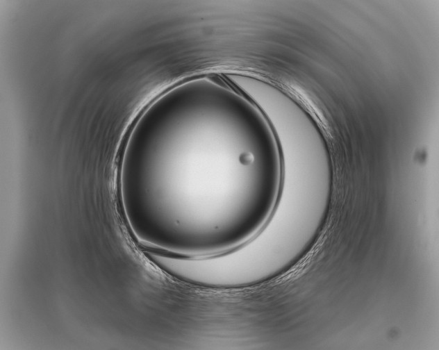 X0000096130900200801251014