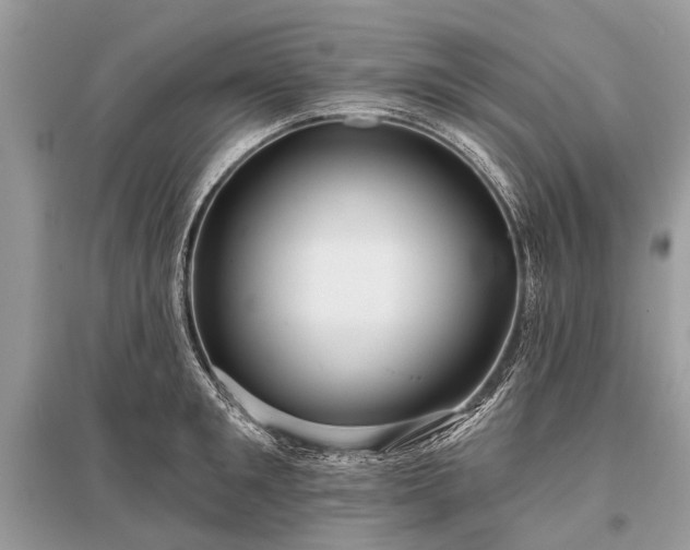 X0000096130901200801251014