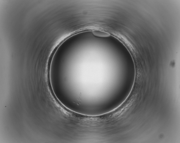 X0000096130902200801251014