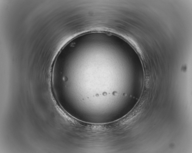 X0000096130903200801251014