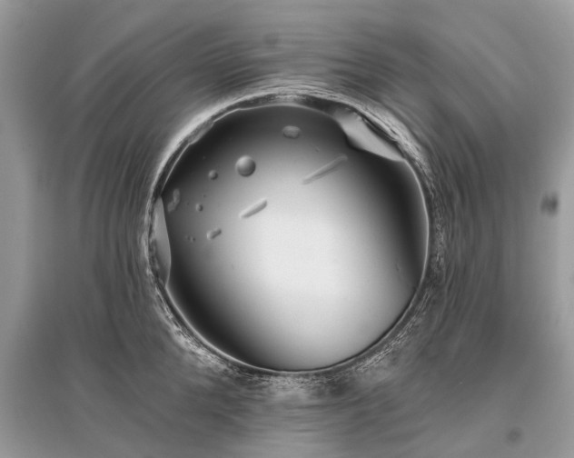 X0000096130904200801251014