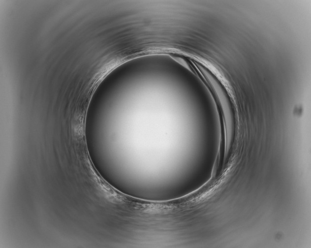 X0000096130905200801251014