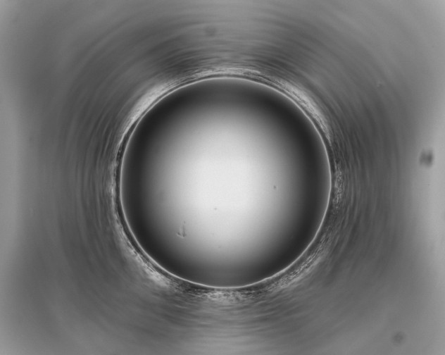 X0000096130906200801251013