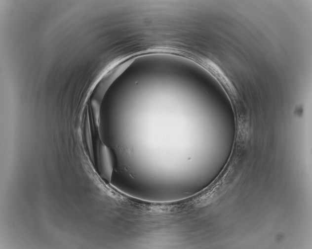 X0000096130908200801251013