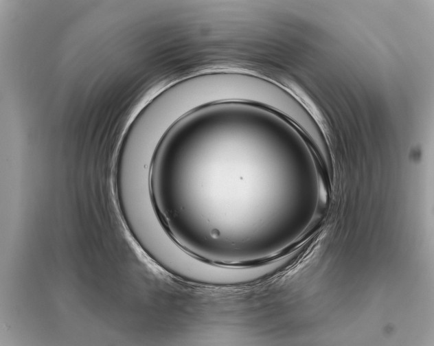 X0000096130909200801251013