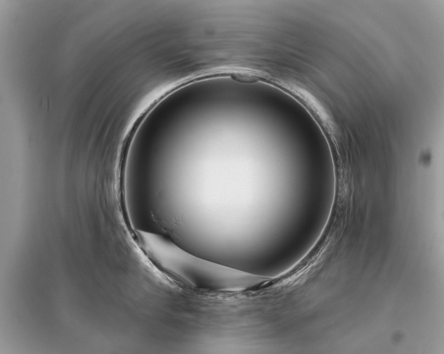 X0000096130910200801251013