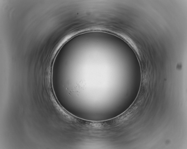 X0000096130911200801251013