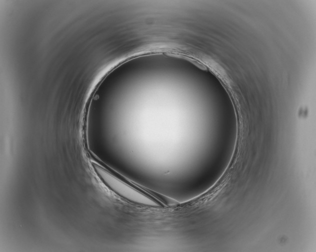 X0000096130912200801251013