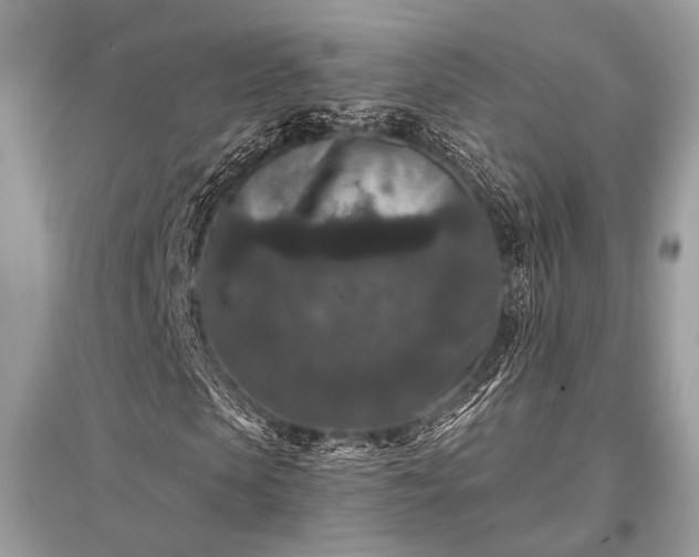 X0000096130913200801251013