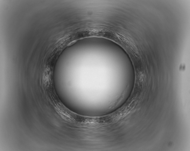 X0000096130914200801251013