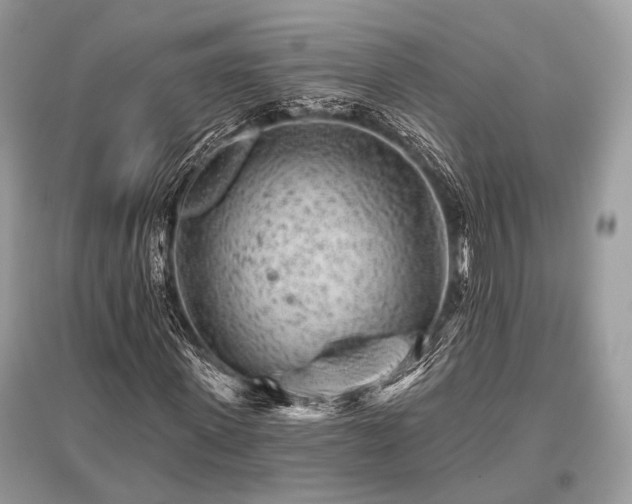 X0000096130915200801251013