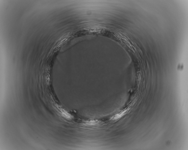 X0000096130916200801251013