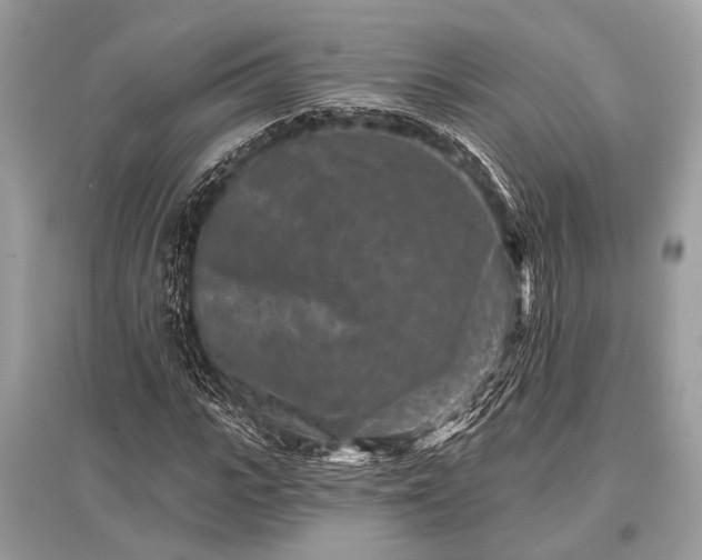 X0000096130919200801251013