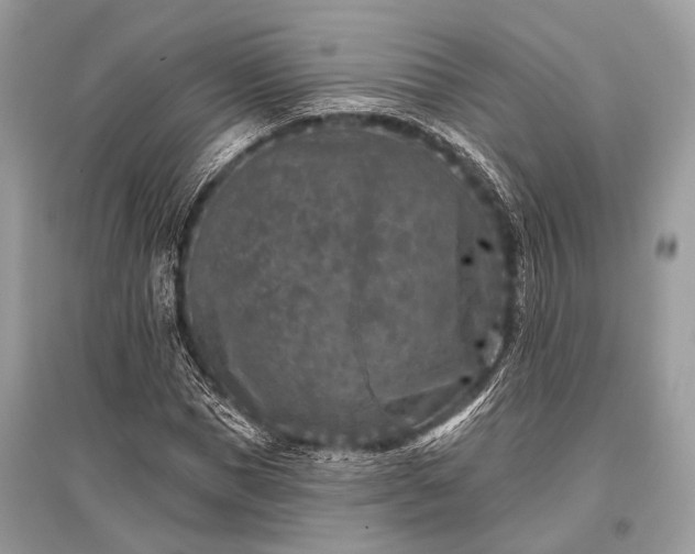 X0000096130921200801251013