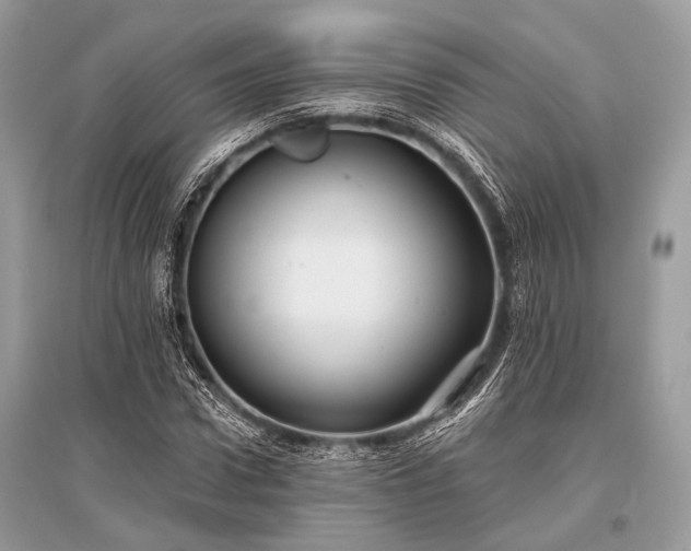 X0000096130922200801251013