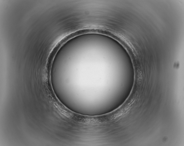 X0000096130927200801251013