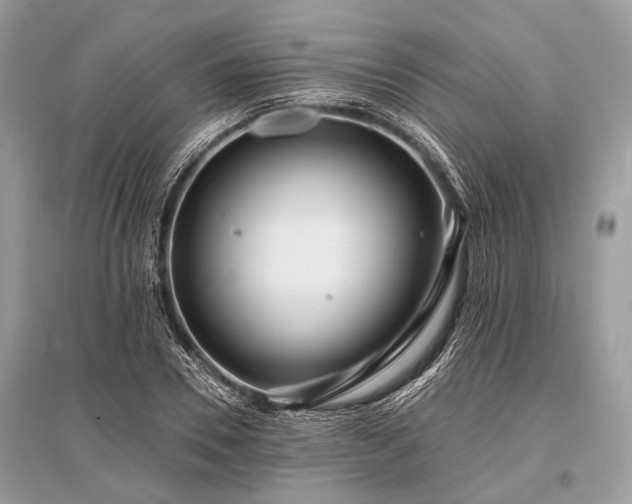 X0000096130930200801251013