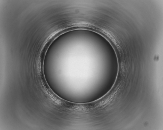 X0000096130931200801251013