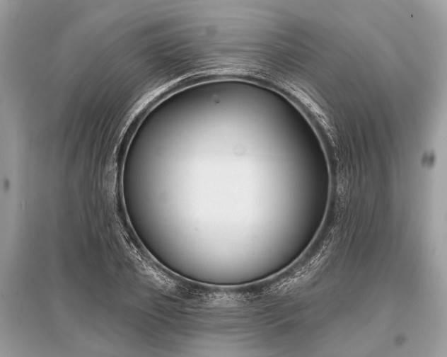 X0000096130933200801251013