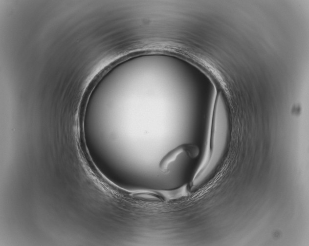 X0000096130936200801251013