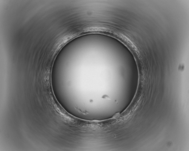 X0000096130937200801251013