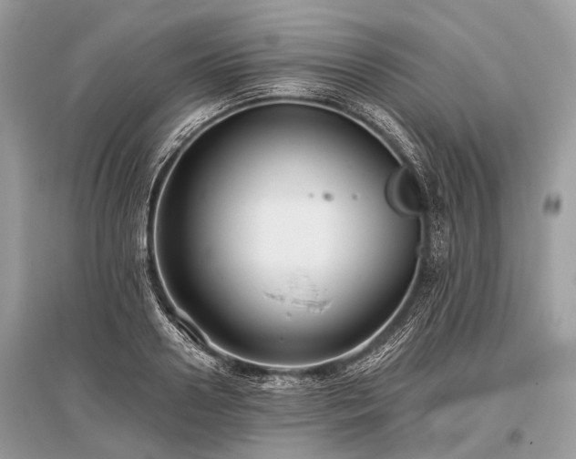 X0000096130938200801251013