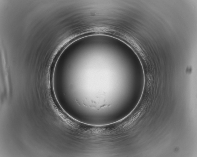 X0000096130939200801251013