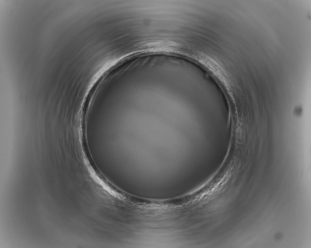 X0000096130941200801251013