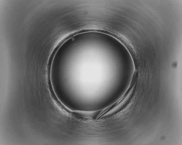 X0000096130942200801251013