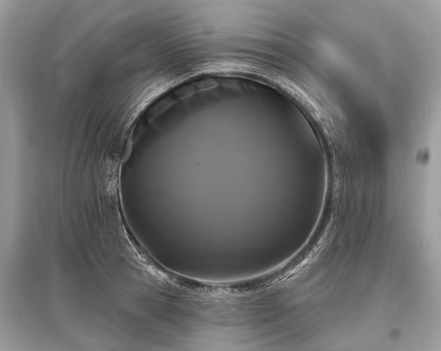 X0000096130945200801251013
